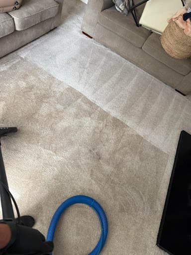 Bounce Back Carpets — Customer photo