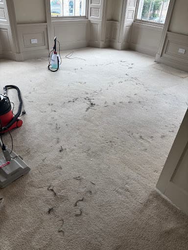 Carpet Cleaning Kings Edinburgh — Customer photo