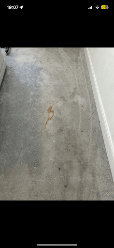 Edinburgh Carpet And Upholstery Cleaning — Customer photo