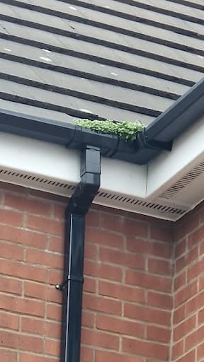 rj external cleaning — Customer photo