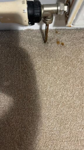 Carpet Cleaning Kings Edinburgh — Customer photo