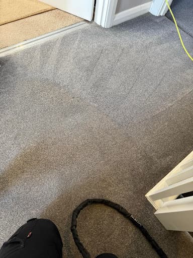 Bounce Back Carpets — Customer photo