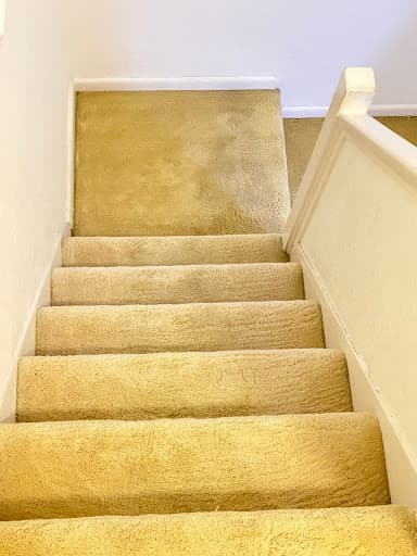 Trust Cleaner — Customer photo