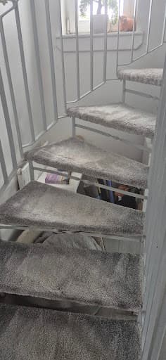 DSA Carpet Cleaning Glasgow — Customer photo