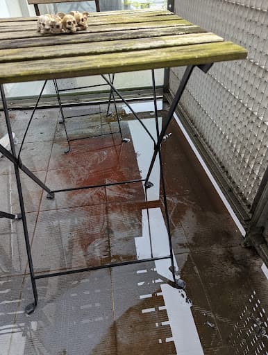 Busy Bee End of Tenancy Cleaning Services Ltd — Customer photo