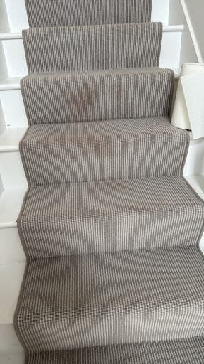 Apex Specialist Cleaning (Bristol) — Customer photo