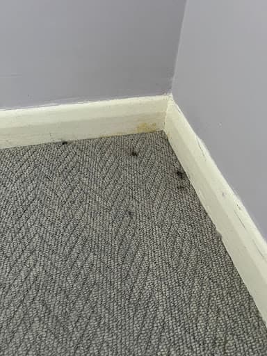 Deep Cleaning Pros — Customer photo