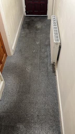 Pure & Sure — Customer photo