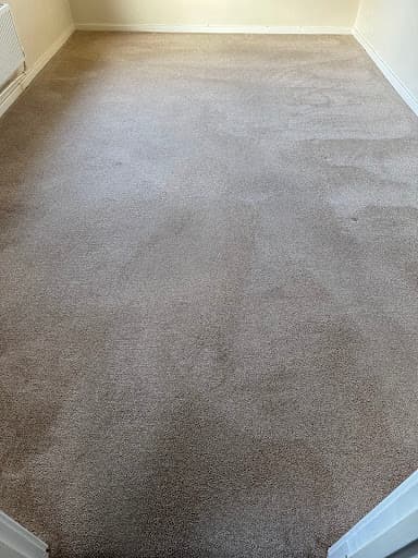 ZeroDryTime Carpet Cleaning Newcastle — Customer photo