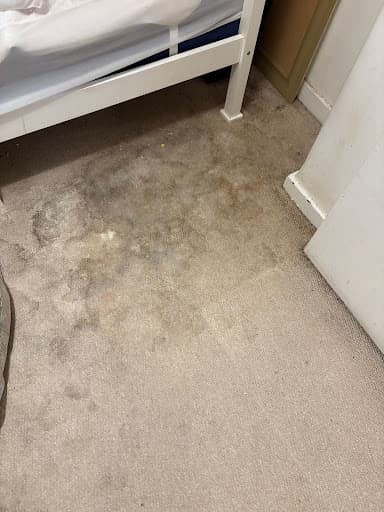 Unlimited Carpet Clean — Customer photo