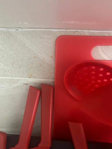 Broom and Bucket Ltd — Customer photo