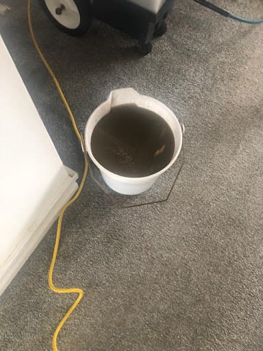 Nitro Carpet And Upholstery Cleaning Services Plymouth — Customer photo