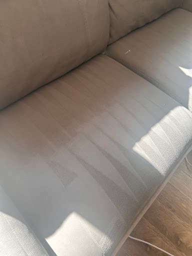 DSA Carpet Cleaning Glasgow — Customer photo