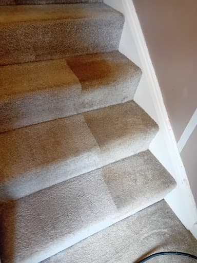 DM Carpet Clean — Customer photo