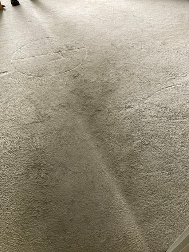 Carpet cleaning Swindon. A1 cleaning services — Customer photo