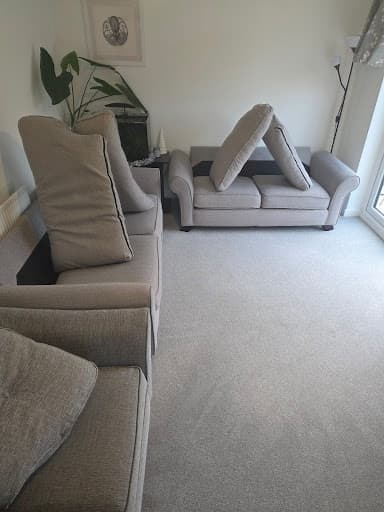 DM Carpet Clean — Customer photo