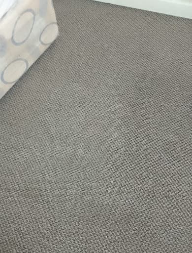 Carpet Cleaning In Stockport — Customer photo