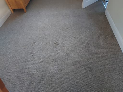 Supreme Clean — Customer photo