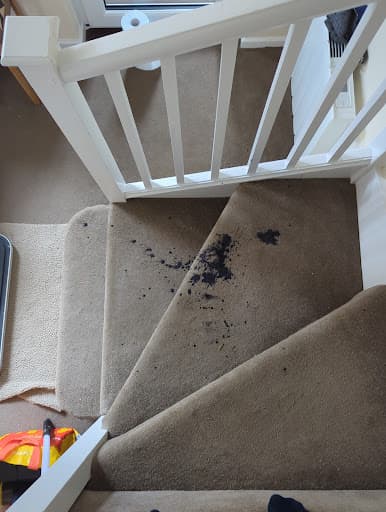 Plymouth Carpet Cleaners Limited — Customer photo