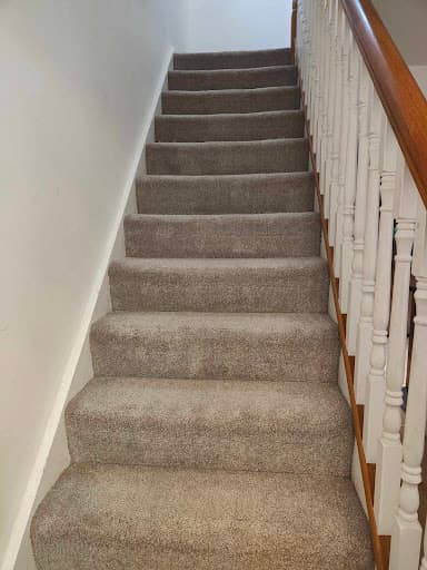 Carpet Pro Belfast — Customer photo