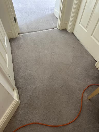 TF - Carpet Cleaning Reading — Customer photo