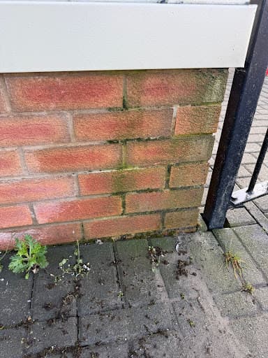 Platinum Exterior Cleaning Ltd — Customer photo