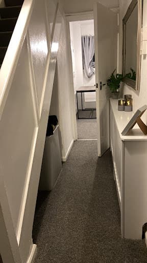 DM Carpet Clean — Customer photo