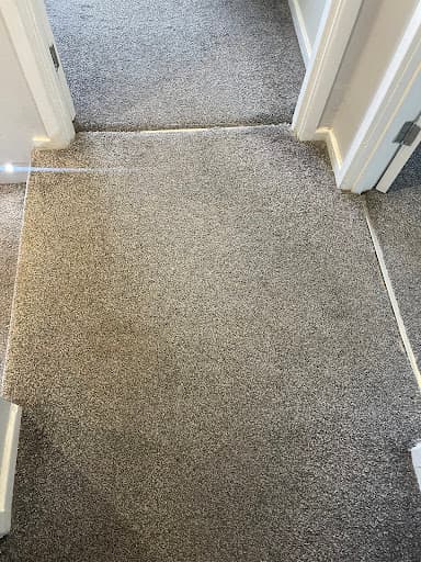 Fresh Carpet Cleaning Newcastle — Customer photo