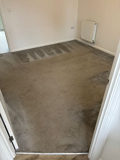 Team Carpet Clean Bristol — Customer photo