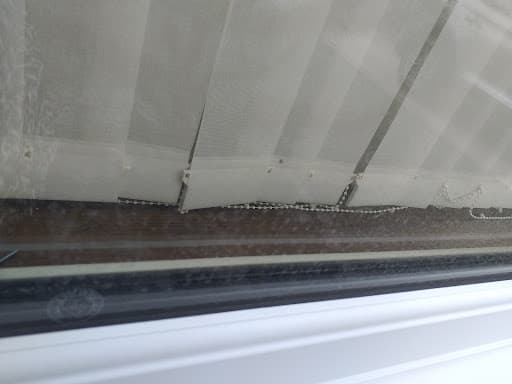 Standout Window Cleaning Portsmouth — Customer photo