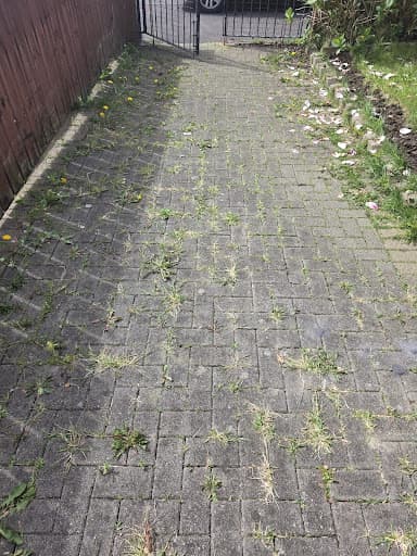 Blackmountain Exterior Cleaning — Customer photo