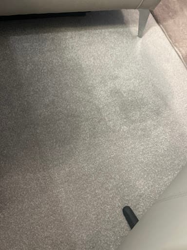 Fresh Carpet Cleaning Newcastle — Customer photo