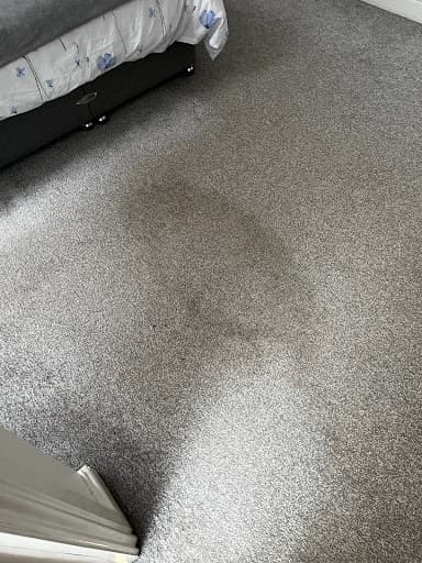 Belfast Carpet & Upholstery Cleaning Services — Customer photo