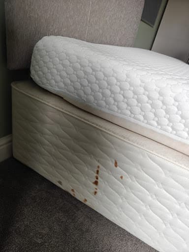 Trust Cleaner — Customer photo
