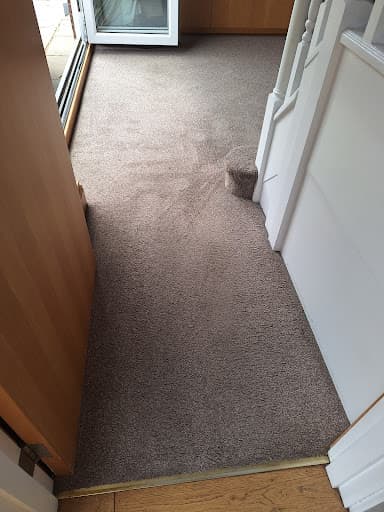 Bounce Back Carpets — Customer photo