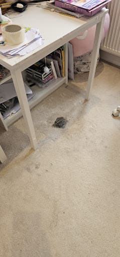 Vip Carpet Cleaning London Ltd — Customer photo