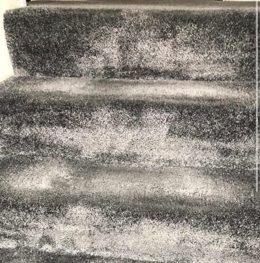 Carpet Fresh — Customer photo