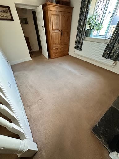 DM Carpet Clean — Customer photo