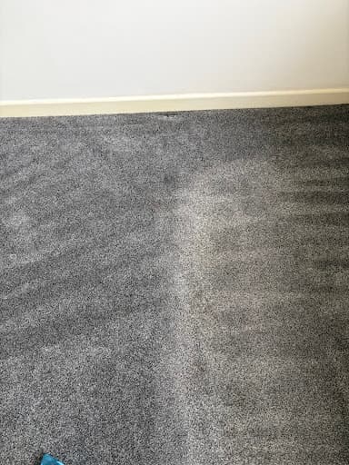 DM Carpet Clean — Customer photo